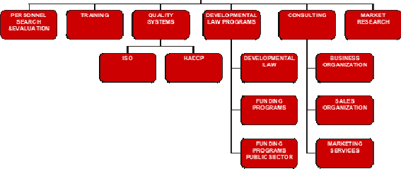 organization chart en